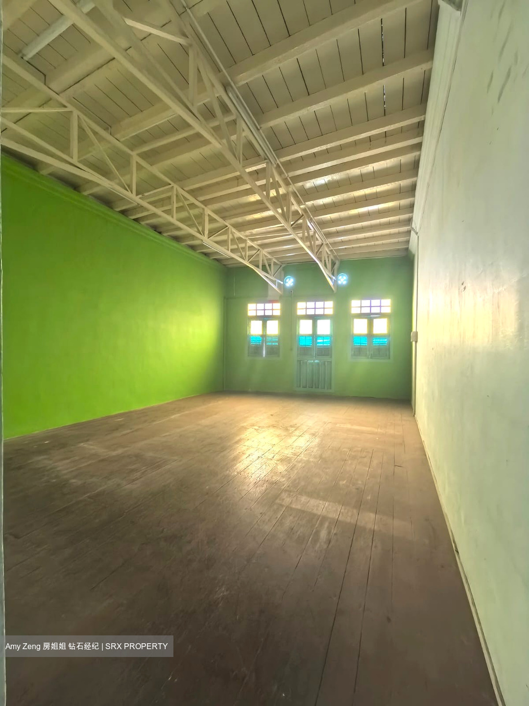 Little India Conservation Area (D8), Shop House #504945701